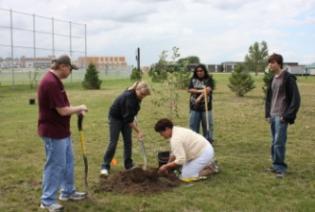 冰球突破豪华版游戏下载 JAG students plant trees to benefit community - image